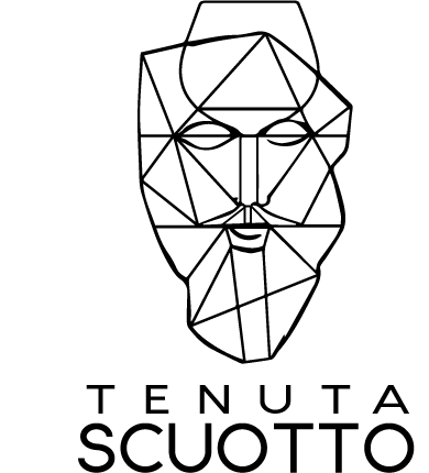 Tenuta Scuotto